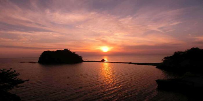 夕日