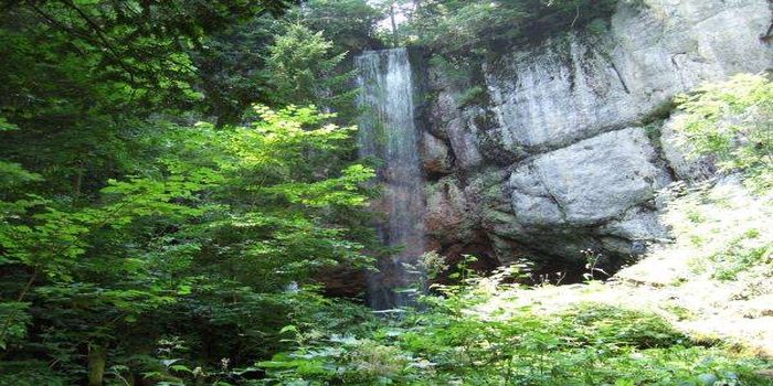 山彦の滝(夏)