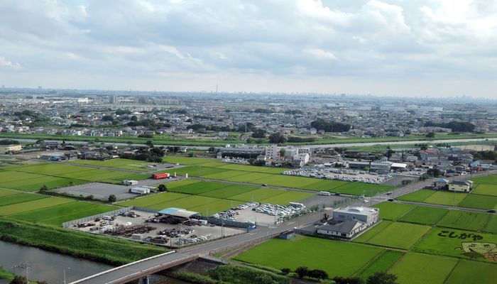 展望台からの眺め
