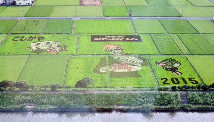 こしがや田んぼアート
