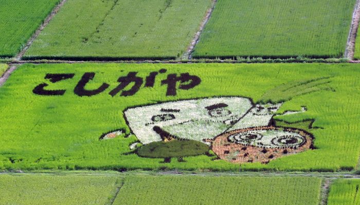 越谷市の特産品