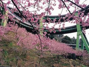 河津七滝ループ橋