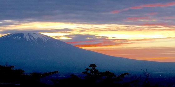 富士山