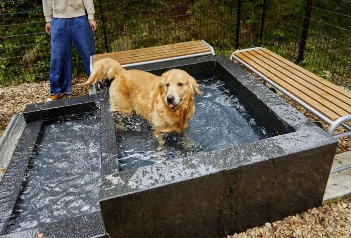 愛犬用の温泉