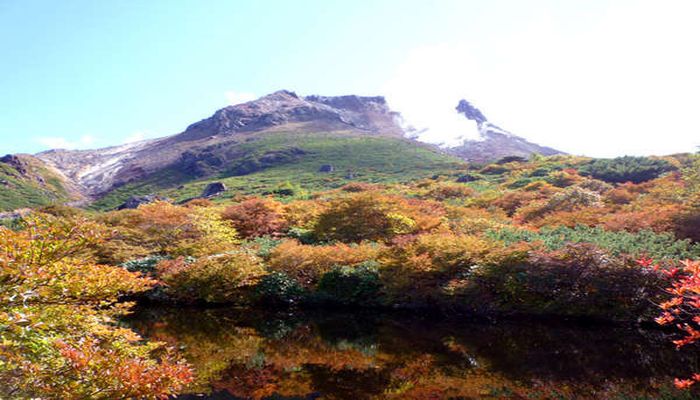茶臼岳の紅葉